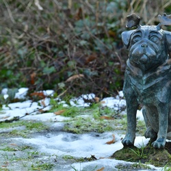 2026-01-08 Brandenburg an der Havel/Waldmöpse/DSC_2375.JPG